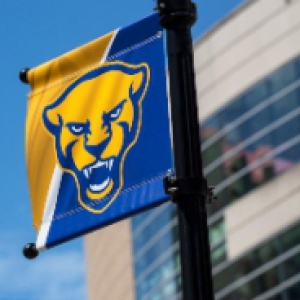 Pitt Panther mascot head on a banner