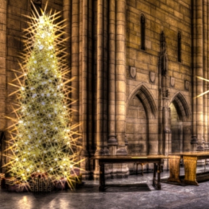 Holiday card photo of the Commons Room