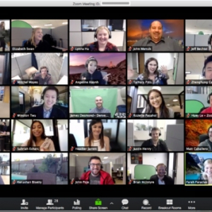 screen capture of a Zoom meeting with lots of participants